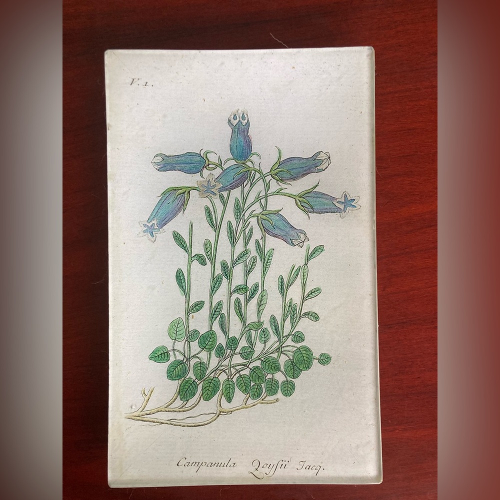 Handcrafted Trinket Plate